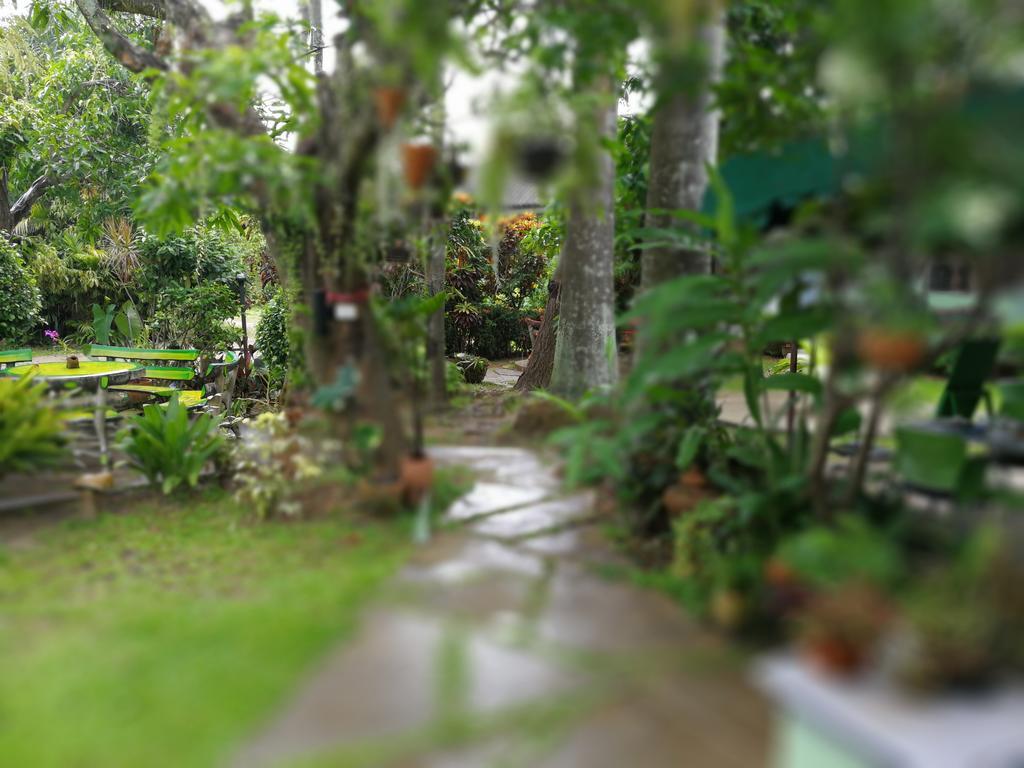 Baan Bua Guest House Chiang Rai Ngoại thất bức ảnh