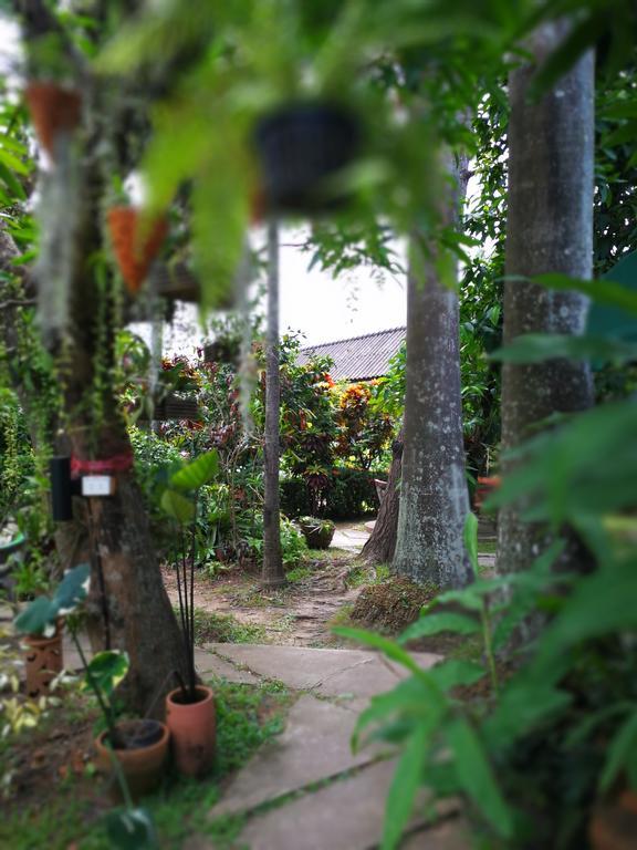 Baan Bua Guest House Chiang Rai Ngoại thất bức ảnh