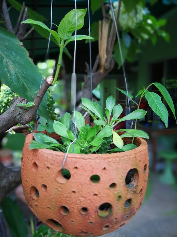 Baan Bua Guest House Chiang Rai Ngoại thất bức ảnh