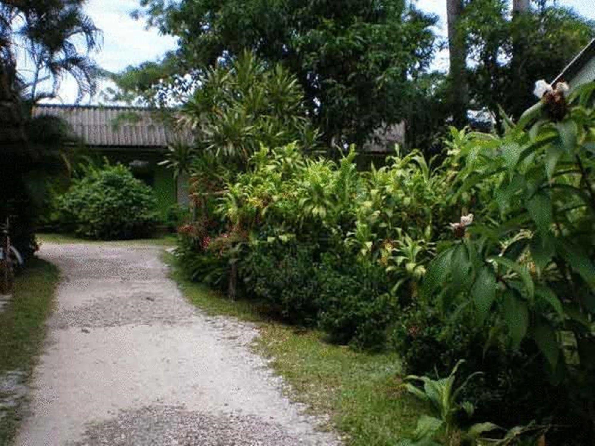 Baan Bua Guest House Chiang Rai Ngoại thất bức ảnh
